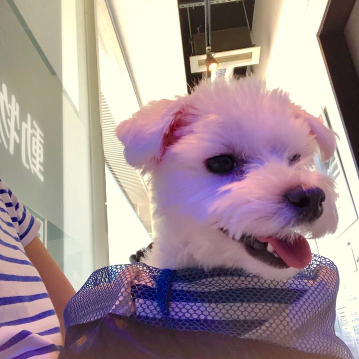 Edb8704c bd82 44e0 98df 5f4c8a425cfb 1564221763563