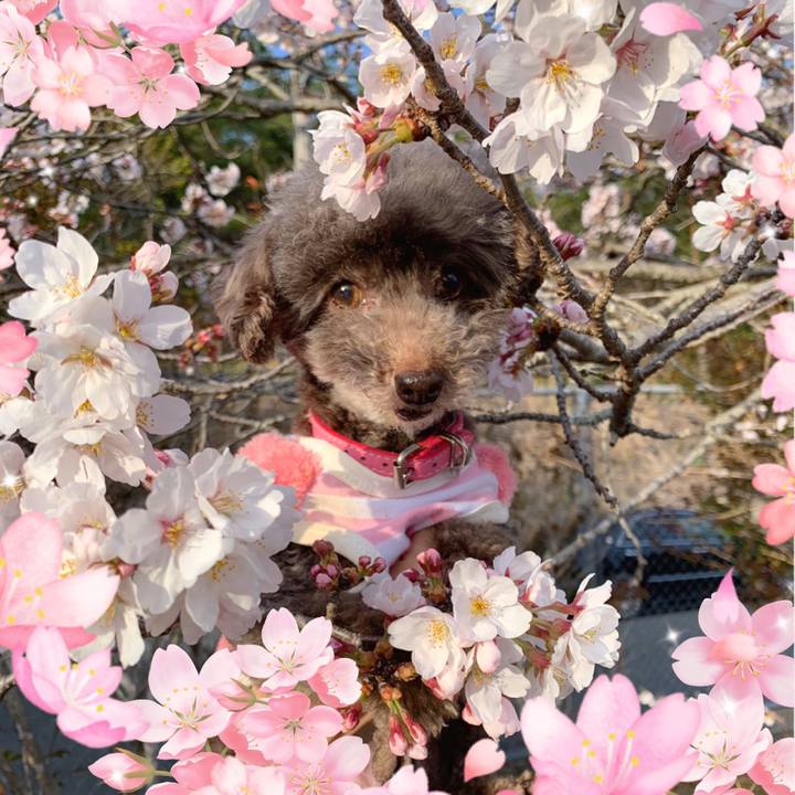 Edb880f8 1c1c 4c44 8c79 a40ed3993b0b 1648808611507