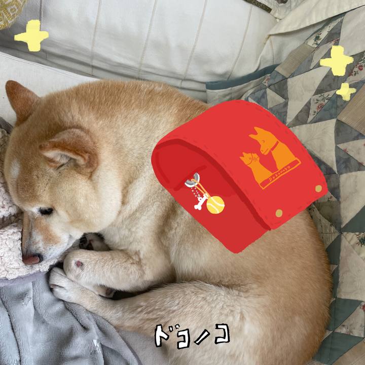 Edb89e61 8537 4d8e a145 e69f5c1cdf35 1744516062783