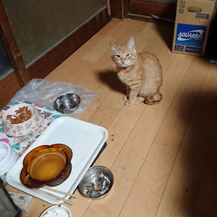 Edb8c384 3213 4fe5 9aaa 45c9d787cb58 1635885265390