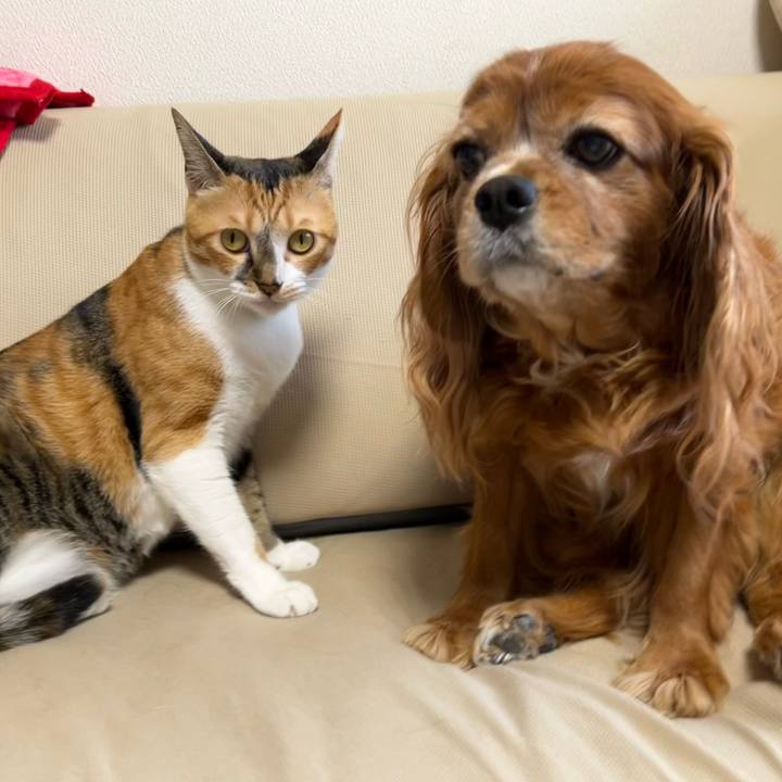 Edb8f938 b9d7 4c43 bd68 4107df038df2 1729176001607