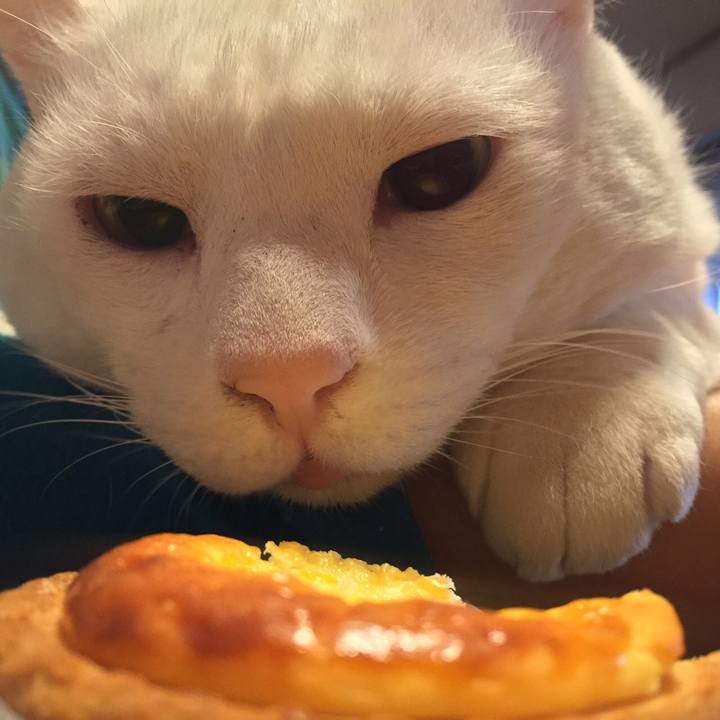 Edb9546d 3b22 402c 9534 13b889aa5eca 1518648796346