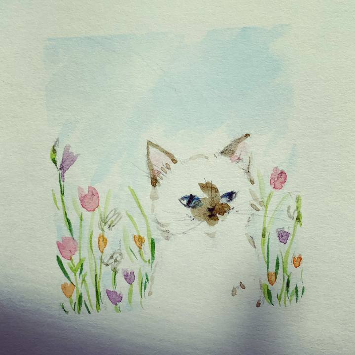 Edb95993 a738 488c b747 898d9d3b3e14 1679024486711