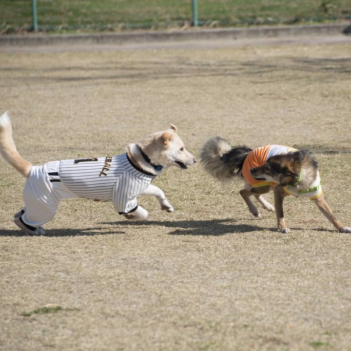 Edb96631 e279 4593 8287 4d8e99676f08 1542557784813