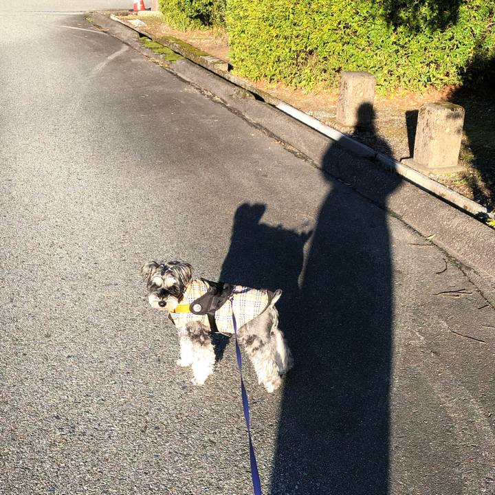 Edb96b65 b74b 4ef9 9bac a06b0455b48a 1703908435426