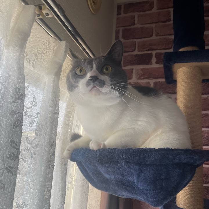 Edb979ed 6b00 4221 b7a9 f75734089774 1697407161067