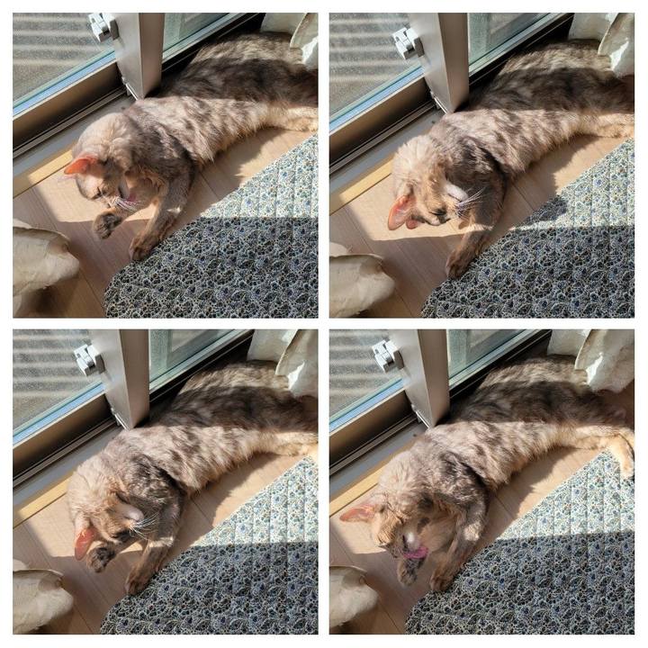 Edb9969a a64a 4205 bd91 f289ca16ab0c 1635469978840