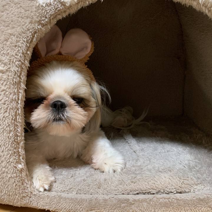 Edb99912 6149 414b 9cf4 ab052b976844 1582715942138