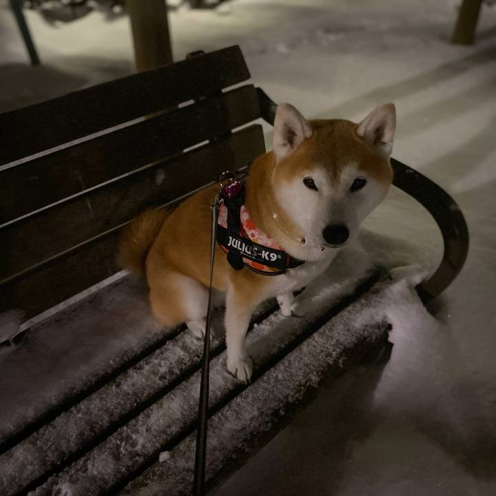 Edb99bf1 b18e 44df b60b 148b01b12a51 1640770798710