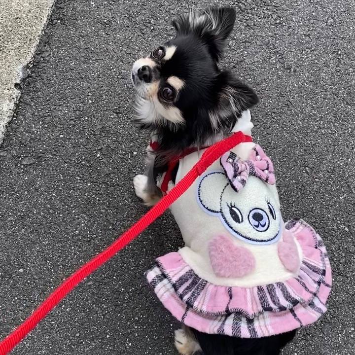 Edb9b19f cb76 4ce0 9dcd 2c2f0c9b84af 1638586392615