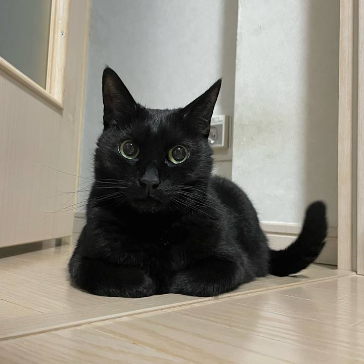 Edb9c026 6b35 43de ac3a 5e30ecefc3f5 1746190564405