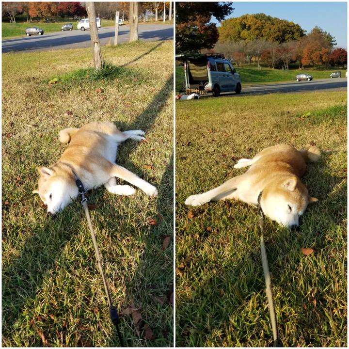 Edb9d1bb 07e6 4b13 a976 a39732e37124 1699164096568