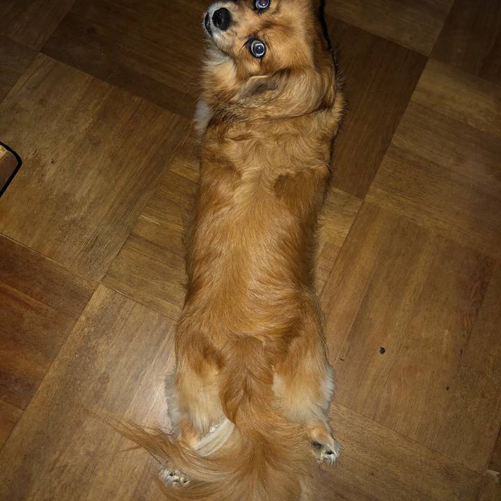 Edb9eedd ea4c 4cbb 9d14 a9580578c070 1571444558693