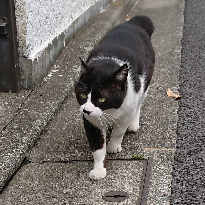 Edb9fad0 8427 4867 8364 eab99fcea2ca 1561269645288