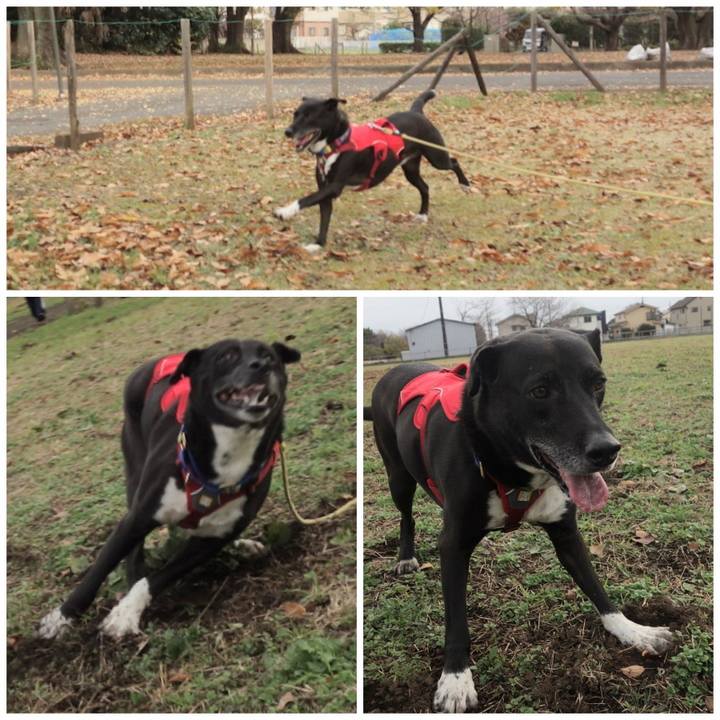 Edba172f 2ee2 453a af70 7016a99fa2d9 1669602168861