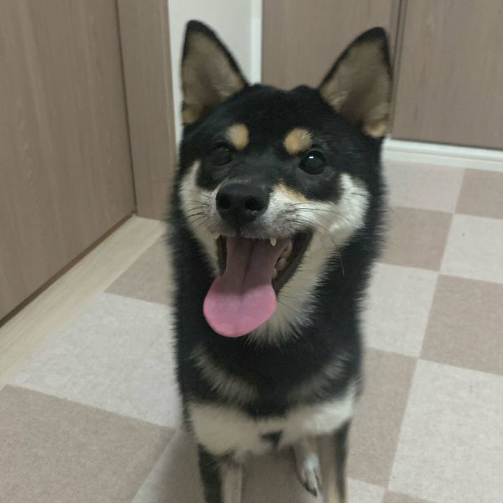 Edba19c9 f7e0 40e4 972b 243146d27a16 1572263360807