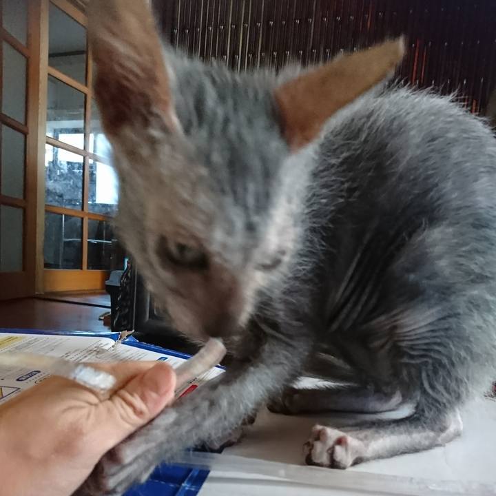 Edba2987 ea54 42f9 9638 c073307d04fa 1516255044371