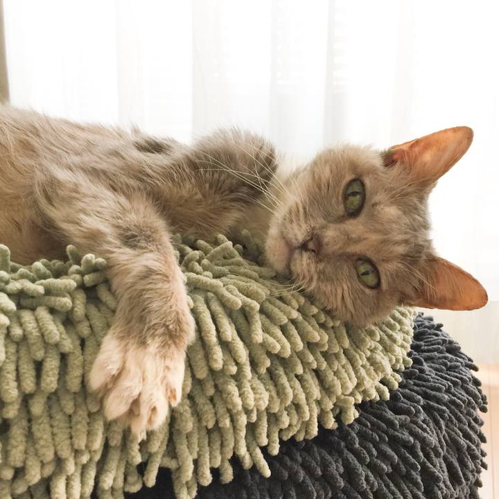 Edba2f9b 549e 4bc8 97ff b6f592622825 1515287415053