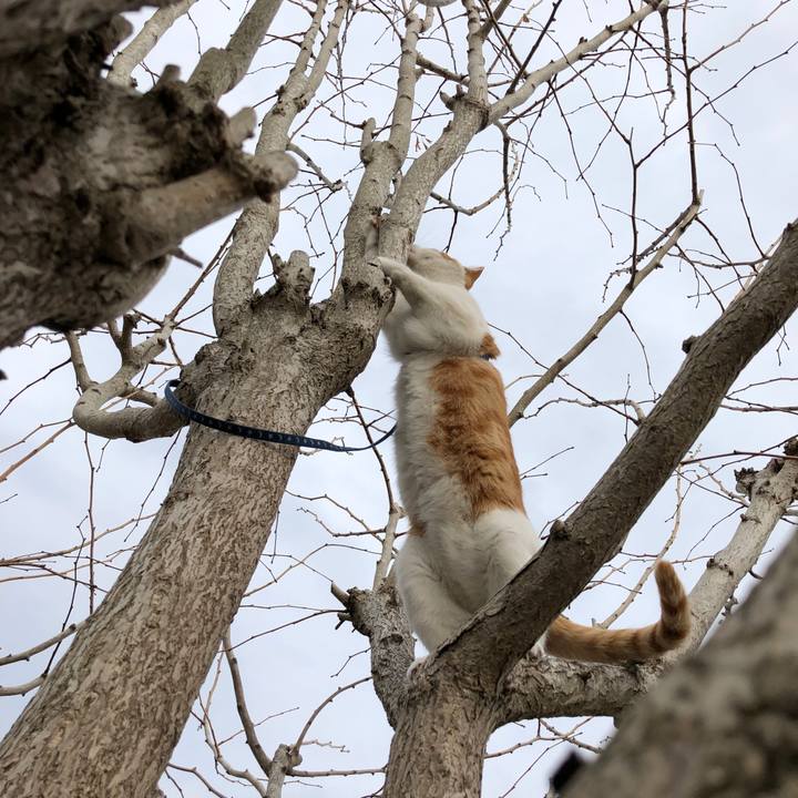 Edba5325 e4cd 4329 81e2 820e47bee8ed 1548225618479