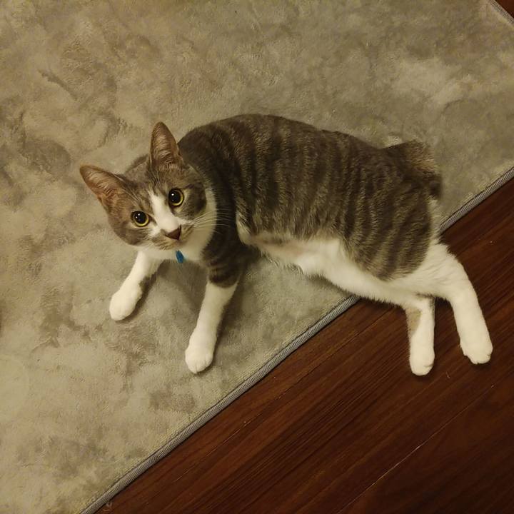 Edba9662 e789 497b 8f73 595fffdcd7c2 1587045508050