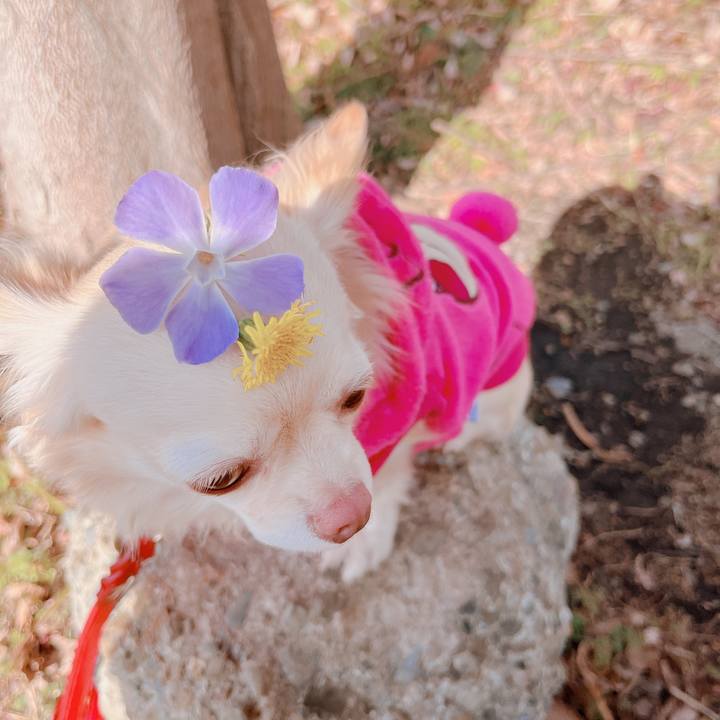 Edbab282 cb7c 4973 8aa3 c01f4504889f 1673943123647