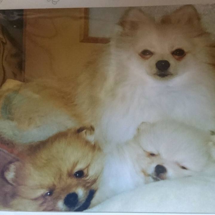 Edbab408 e107 4310 be63 abd8e54285cc 1522190324697