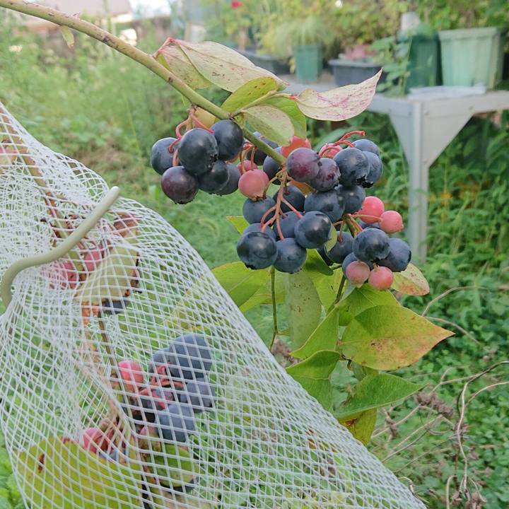 Edbac33d 7140 4b34 92c0 86de11484d10 1626512654126