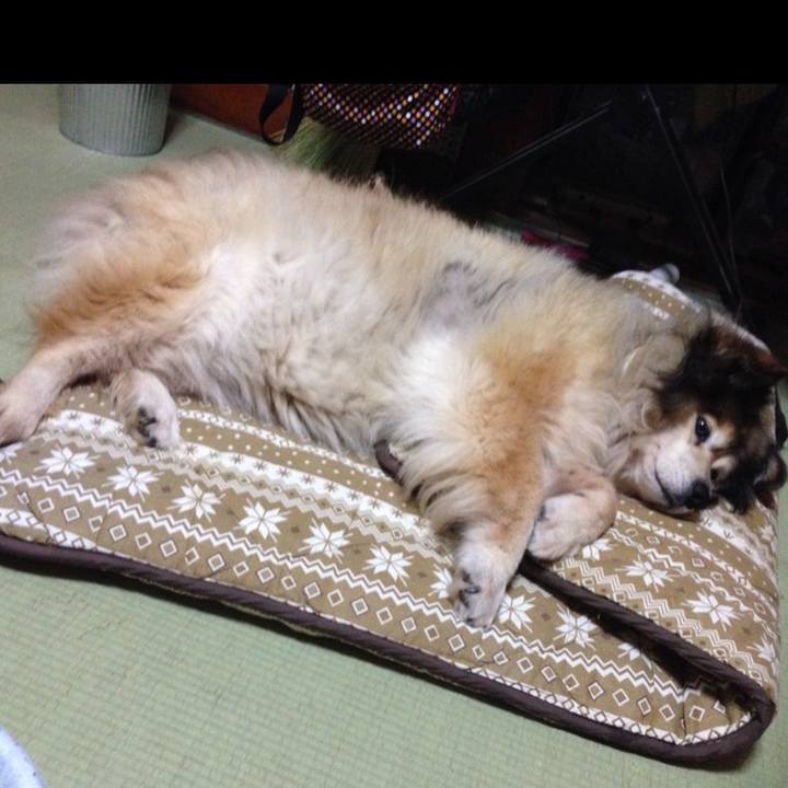 Edbacd92 8337 4532 b541 68c413819c0f 1606393087923