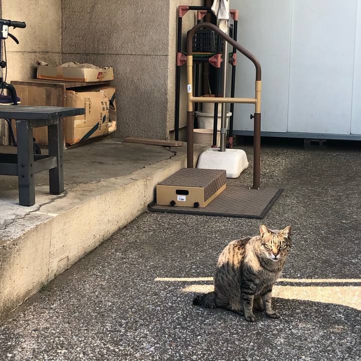 Edbaebfa c543 4b8a 92d9 bfa1e90649fa 1589718384878