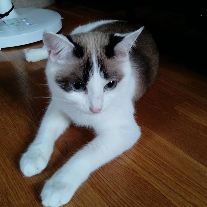 Edbb0d6c 2447 4921 9ecd 4ba8c4e6607c 1665228361893