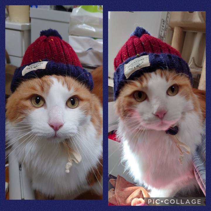 Edbb2a3c 80b5 40c9 992f c21c61860bc5 1644370382127