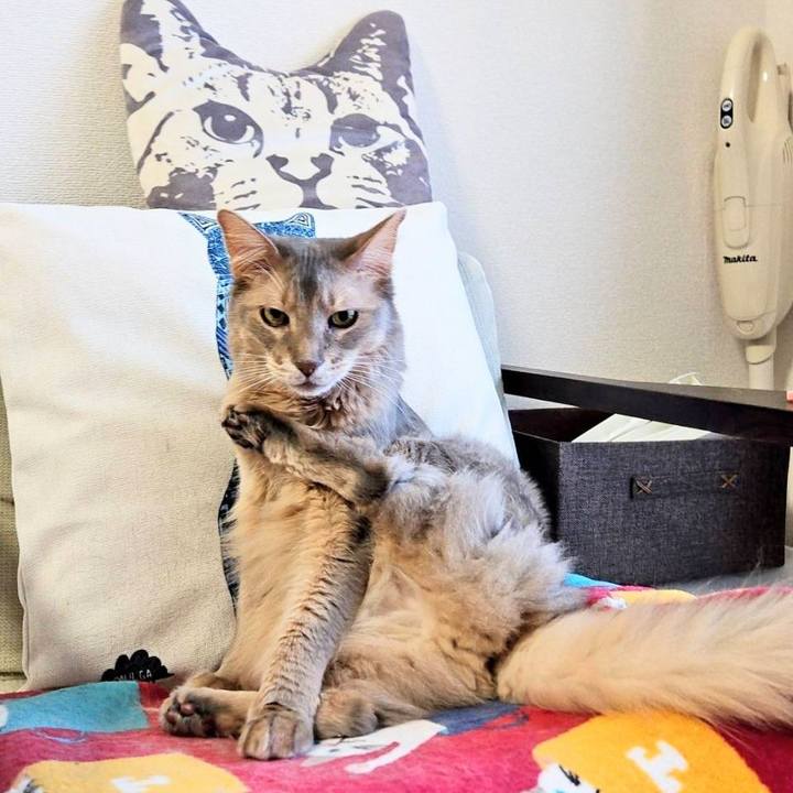 Edbb65ff 6b02 4ad2 baeb 5aae58299c0a 1706232751976