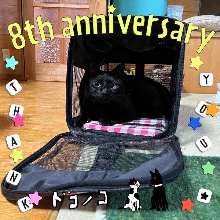 Edbb7907 7406 4336 8699 cb3e774ce8e1 1717721556973