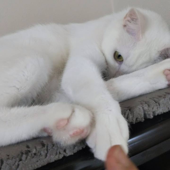 Edbb7ce7 dd33 4e18 ba6f 2f2e1d556121 1644915803936