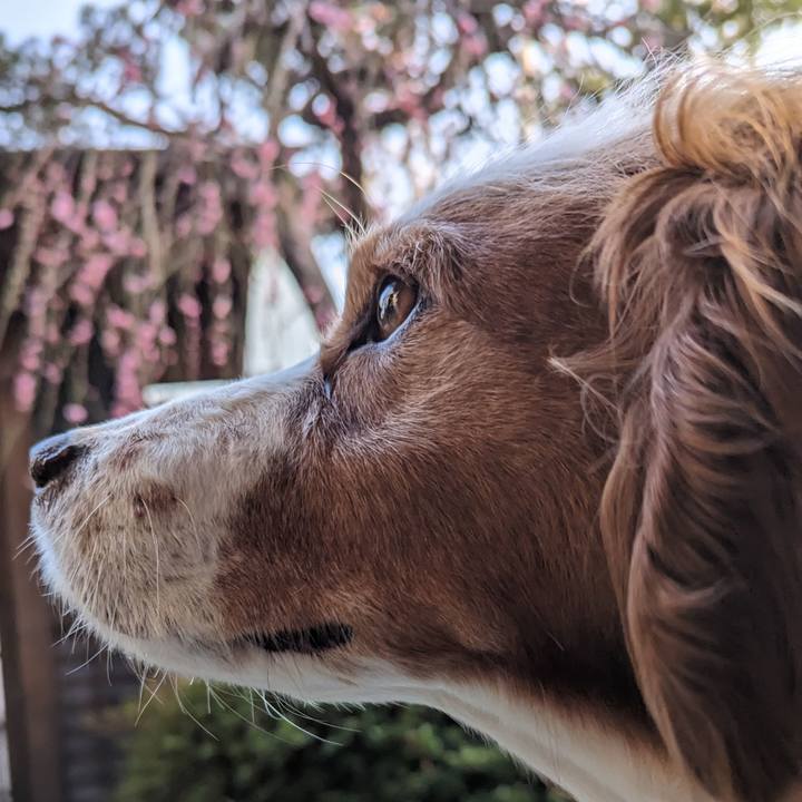 Edbb7d24 2ff3 4f89 8696 cb90f48d3335 1678016522574