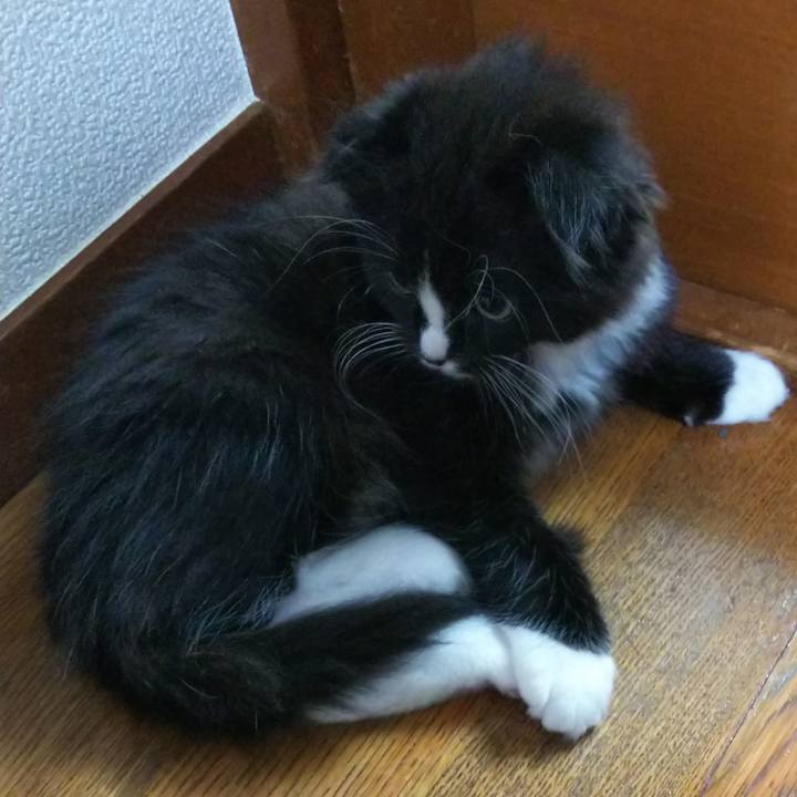 Edbba70d 60e9 4ec1 a6df 14758c6af905 1639048237113