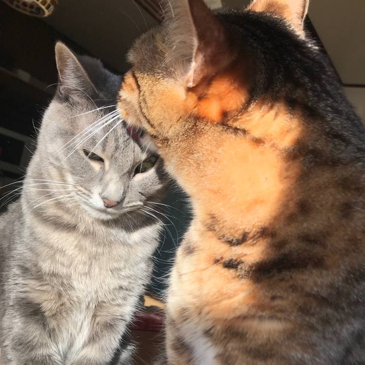 Edbbbc1f f4e9 444a 959d db8d34032b7e 1543132629663