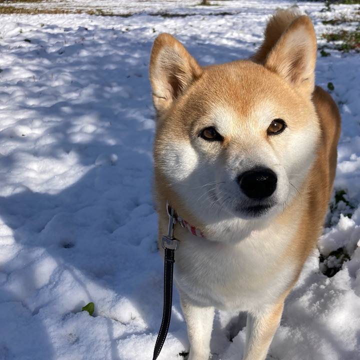 Edbbbdcb f2d9 41d3 ace8 258bde050393 1733543159438