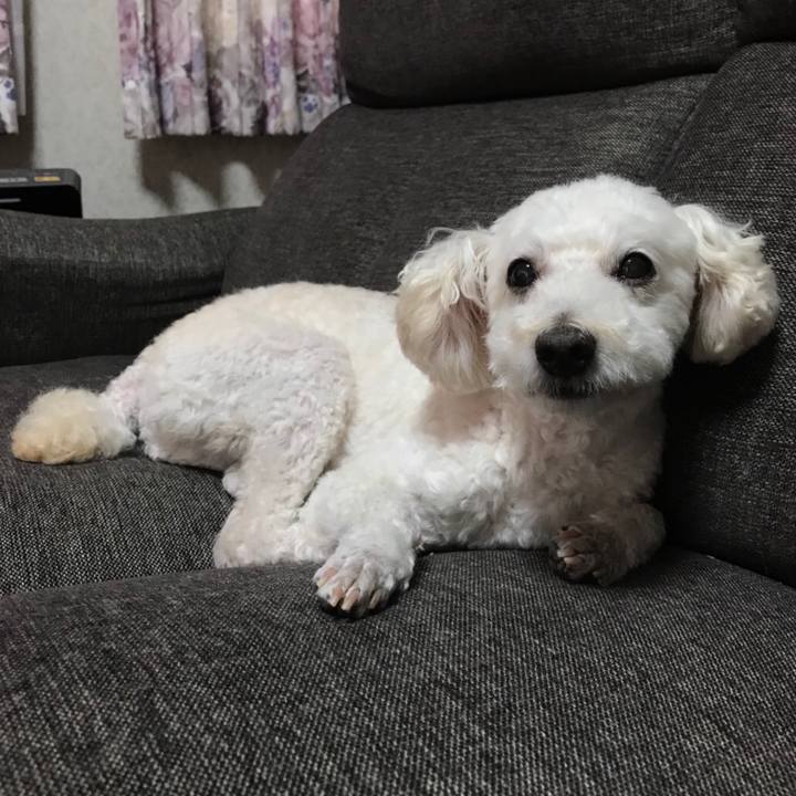 Edbbc77b f99b 4215 92da 1026ae141367 1532435663867