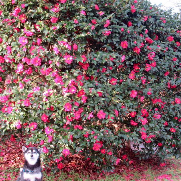 Edbbe051 8fd6 46b6 8e64 e161c301df92 1580524000140