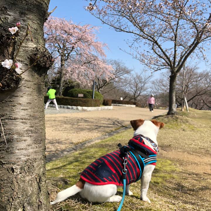 Edbbf2db f45e 40c9 ae7b b3ddd58c7f18 1616488043532