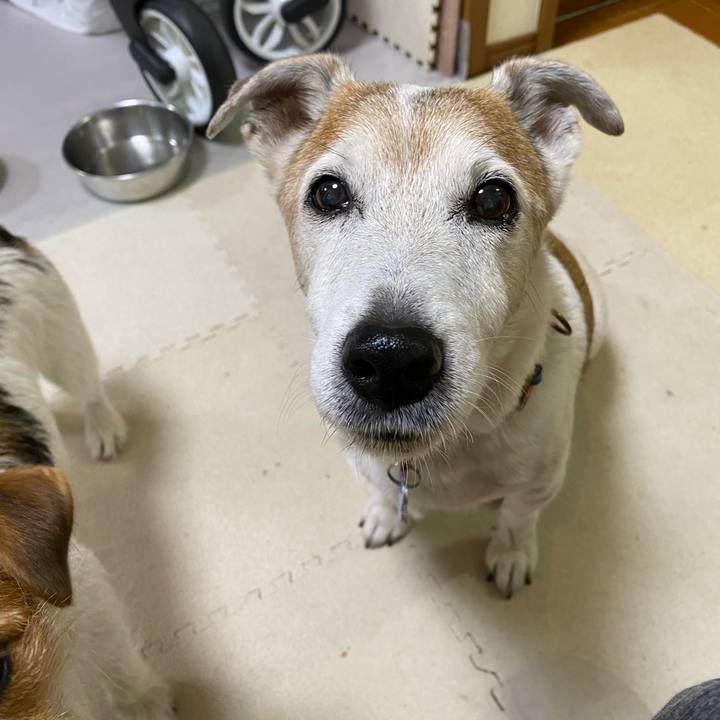 Edbbf662 438a 45ec a3c1 7c96624ae7a5 1636497413581