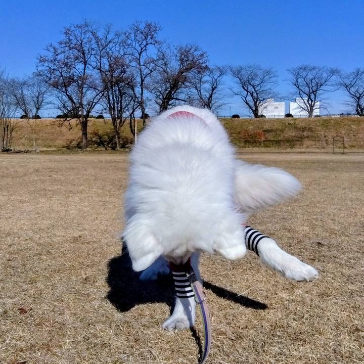 Edbbfd2e 8c72 4285 9fbc c5b494e56836 1672259660064