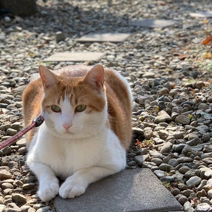 Edbc248c a11c 4e20 bbc3 50fbfba68f86 1605756005524