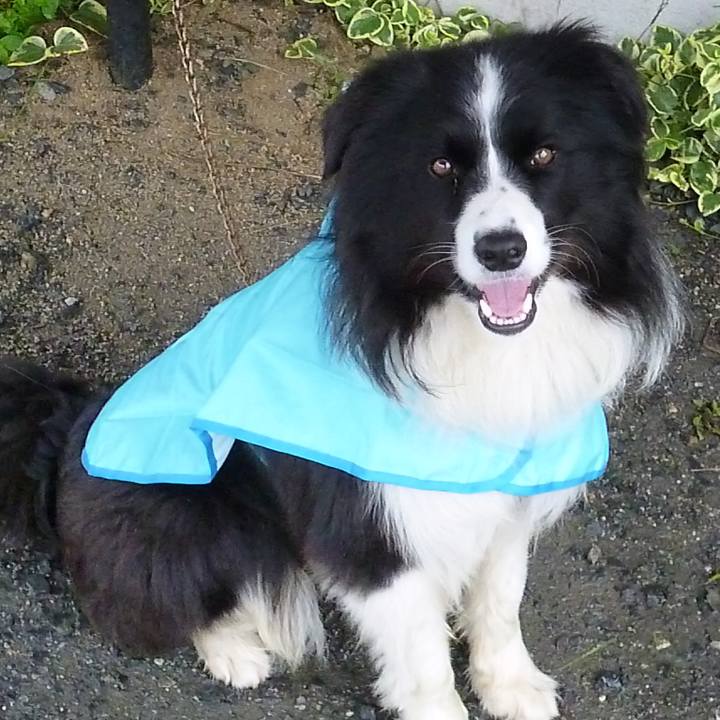 Edbc435f 2fbf 4783 a4c3 08c984a5120a 1619229155552