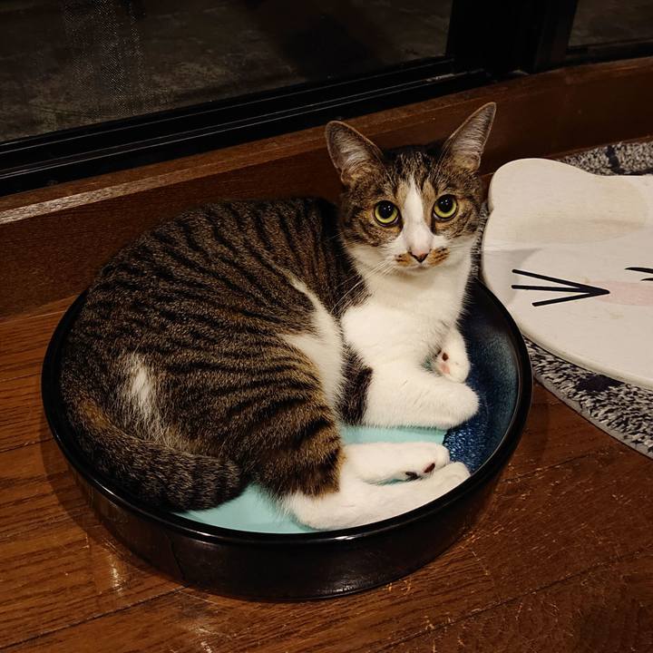 Edbc5c01 bd4c 4a21 b220 670b4d83635d 1657377198226