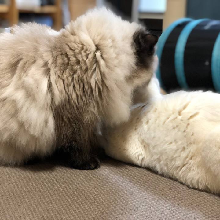 Edbcaa11 fe13 469c 9f32 9140f6bf8d22 1644843807911