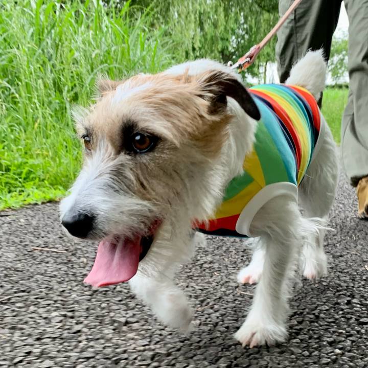 Edbcb970 b6c1 4b80 9bf5 a4904dbcf0e0 1686395200141