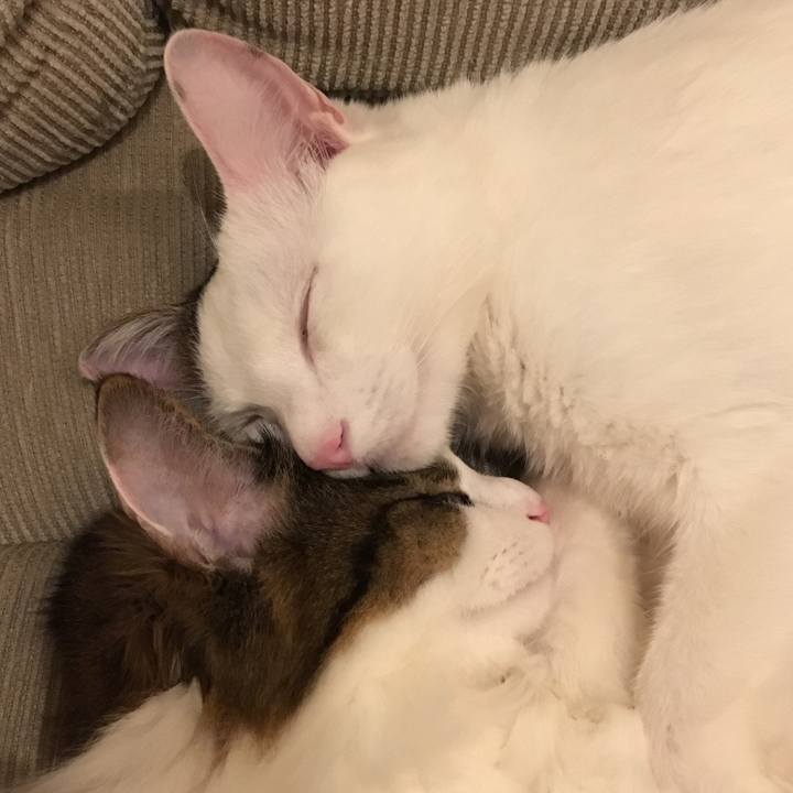 Edbcdc0d 0706 4547 86a5 c4b3940089b8 1517298264406