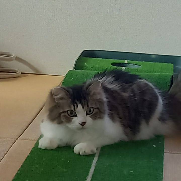 Edbd2bbf 303e 474f 808d 87d49009cad2 1673387004395